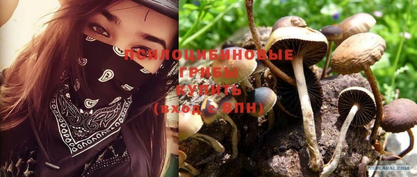 ALPHA PVP Снежинск